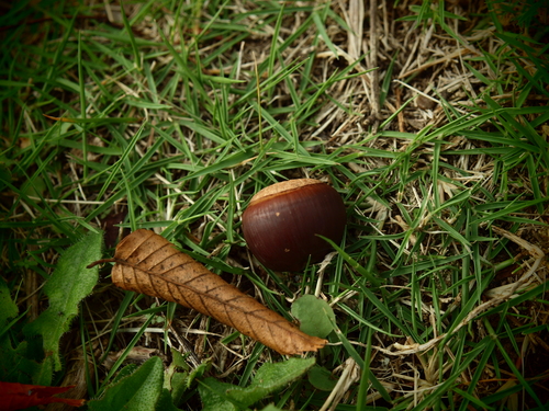 f0020837_23413423.jpg