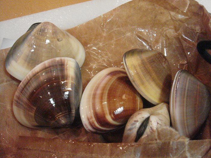 f0208737_8284646.jpg