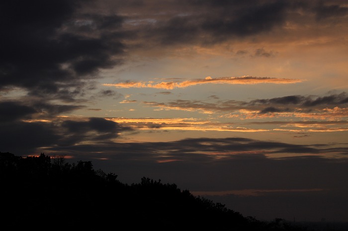b0168041_183943100.jpg