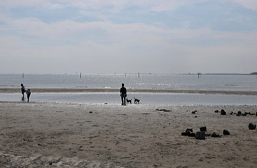f0094843_22301776.jpg