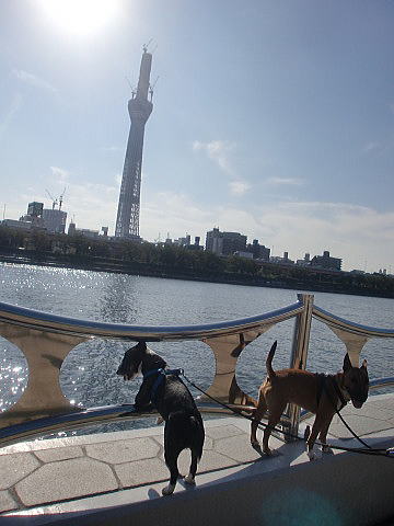 f0094843_2295637.jpg