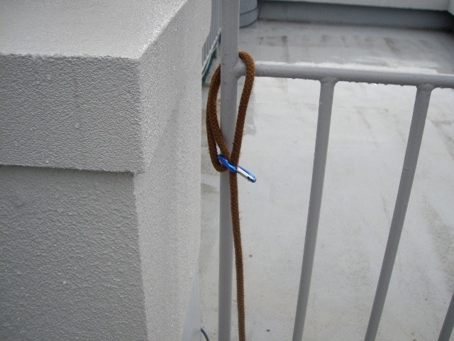 e0098547_20343449.jpg