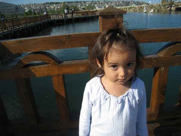 f0131048_23142167.jpg
