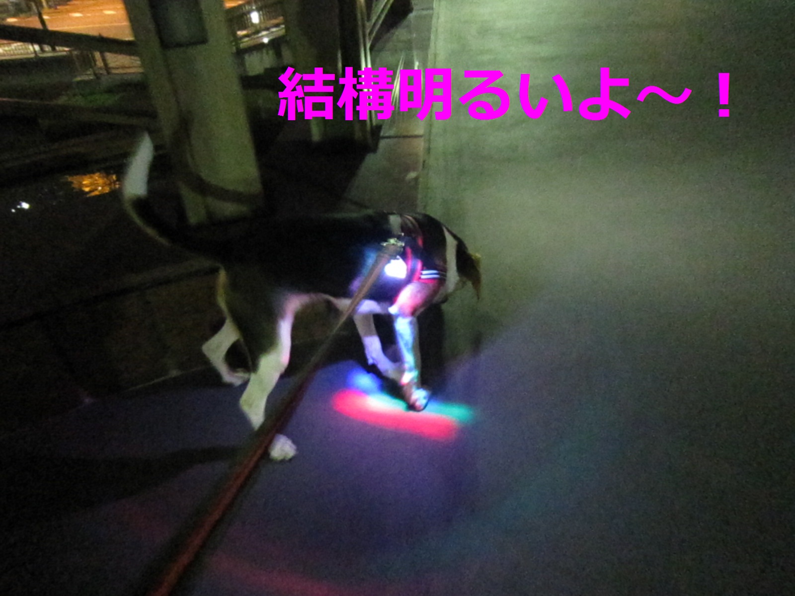 d0155853_7221061.jpg