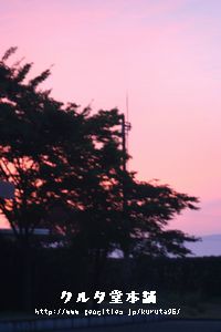 d0044755_20471145.jpg