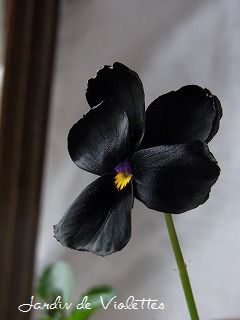 e0118257_1716659.jpg