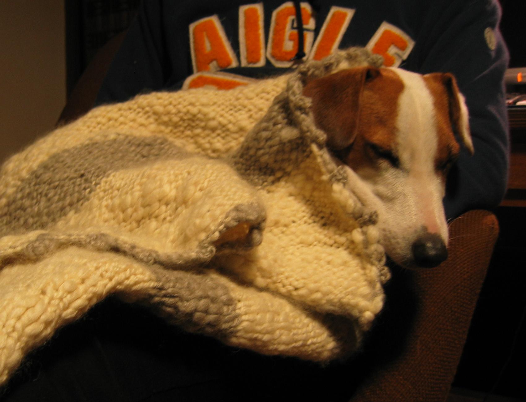 c0140260_21353810.jpg