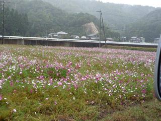 f0221360_1335249.jpg