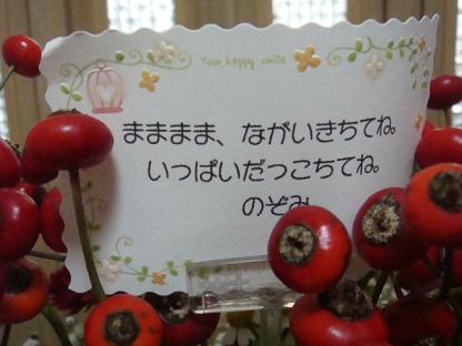 b0061261_20253889.jpg