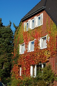 f0097363_2315571.jpg