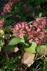f0097363_2322052.jpg
