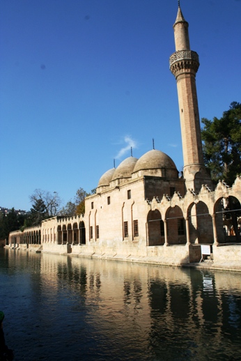 f0232763_14562853.jpg
