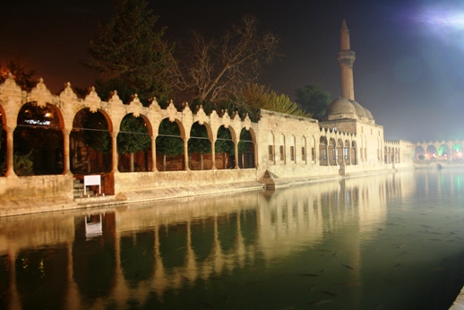 f0232763_16243044.jpg