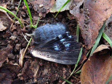 b0130166_20592685.jpg