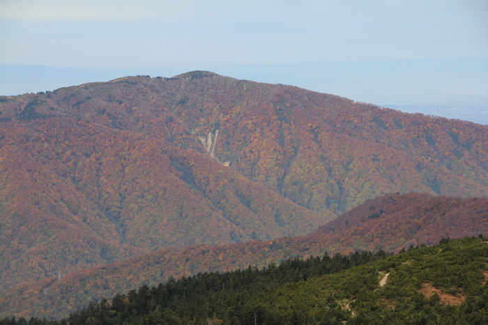 f0223068_7522849.jpg