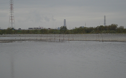 a0096669_2357499.jpg