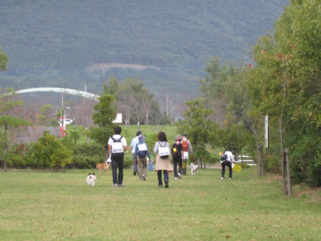 c0042869_1051256.jpg