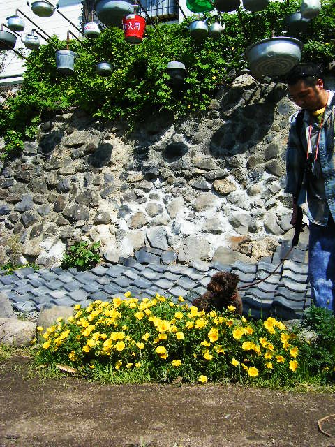 f0207970_1117440.jpg