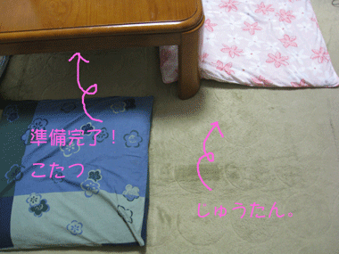 d0050871_11252227.gif