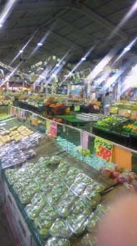 f0054677_861193.jpg
