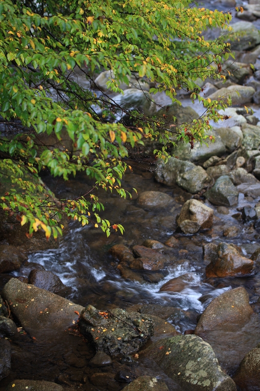 e0024081_1549225.jpg