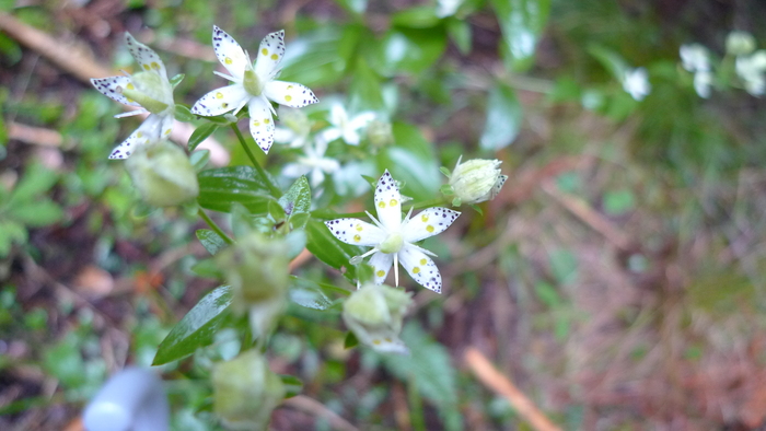 e0024081_15493853.jpg