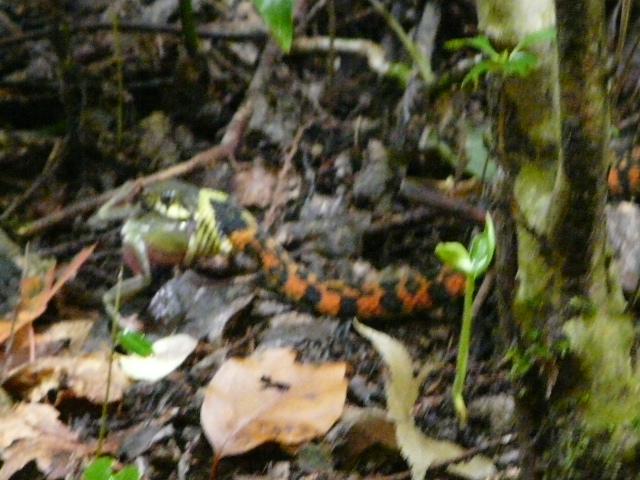 e0145782_10334864.jpg