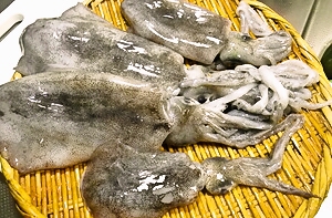 b0068687_2115788.jpg