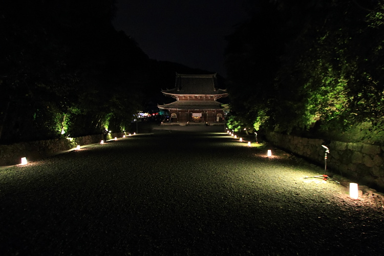 e0051888_22112359.jpg