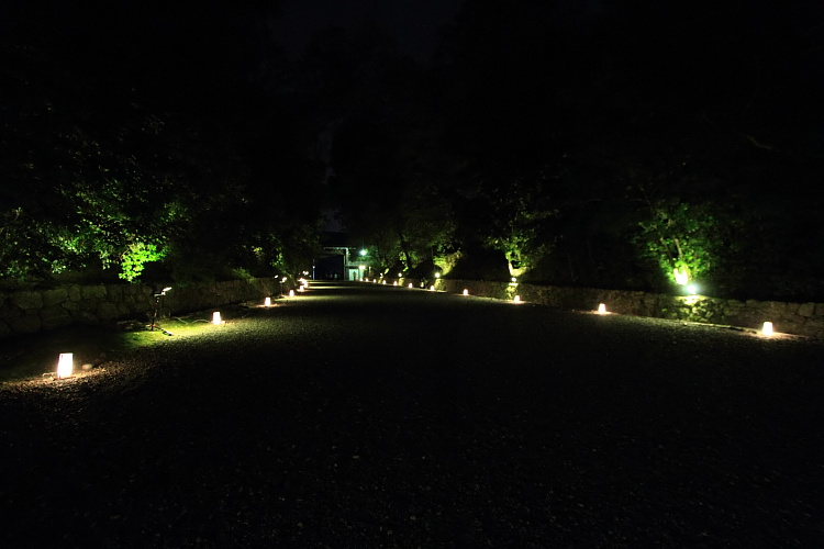 e0051888_22141566.jpg