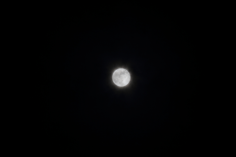 e0051888_22143125.jpg