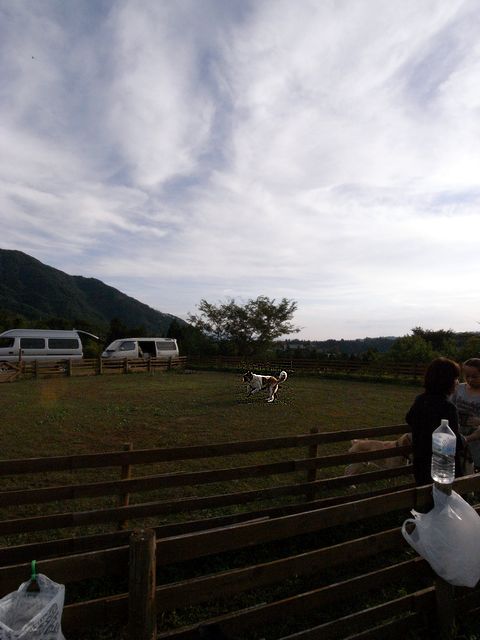 a0093592_020527.jpg
