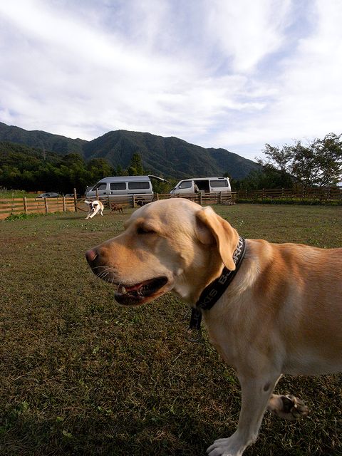 a0093592_02354.jpg