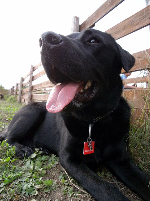 a0093592_03492.jpg