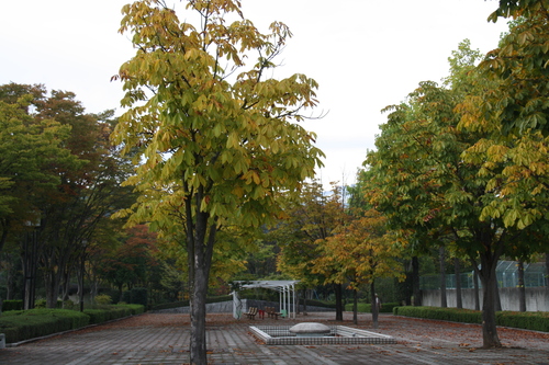 b0151893_16521455.jpg
