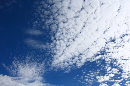 d0133693_2262734.jpg
