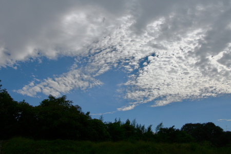 d0133693_2263256.jpg