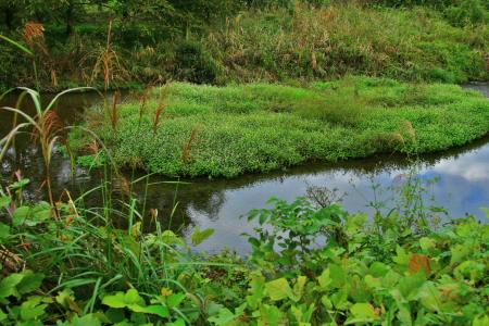 d0133693_2263451.jpg
