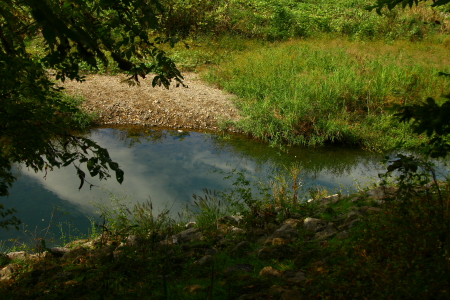 d0133693_226386.jpg