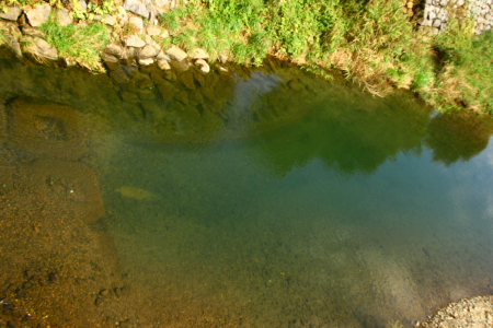 d0133693_2264230.jpg