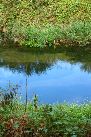 d0133693_2264774.jpg