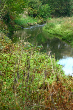 d0133693_2264922.jpg