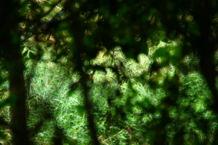 d0133693_2265195.jpg