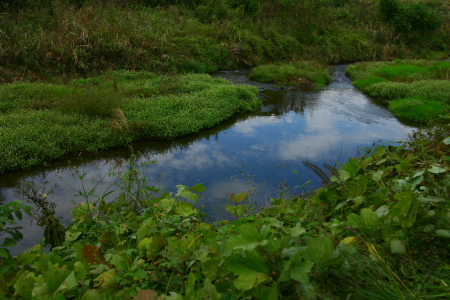 d0133693_2265557.jpg