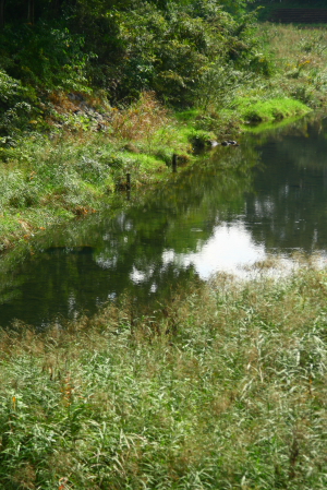 d0133693_2265736.jpg