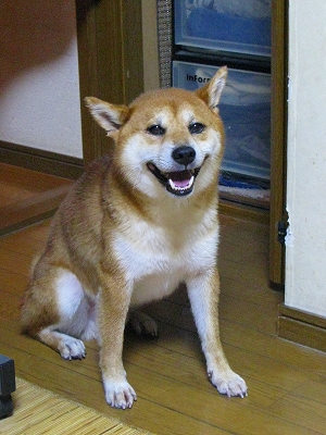f0181394_21441461.jpg
