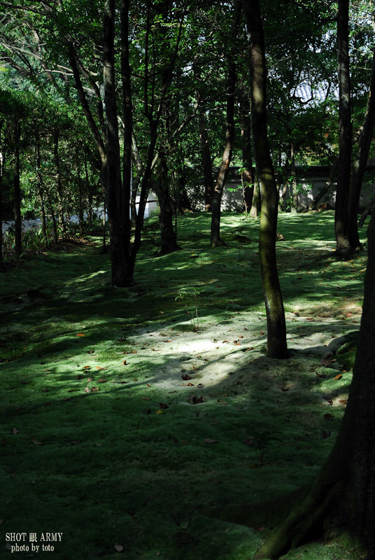 d0085501_0323070.jpg