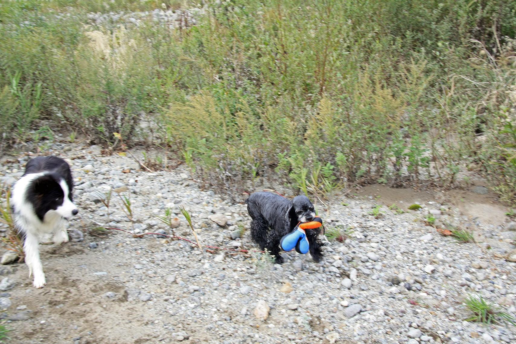 f0034602_17471655.jpg