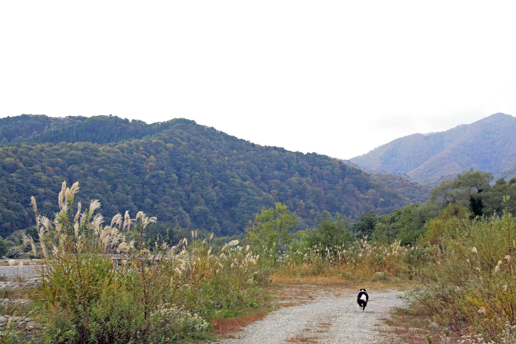 f0034602_1748424.jpg