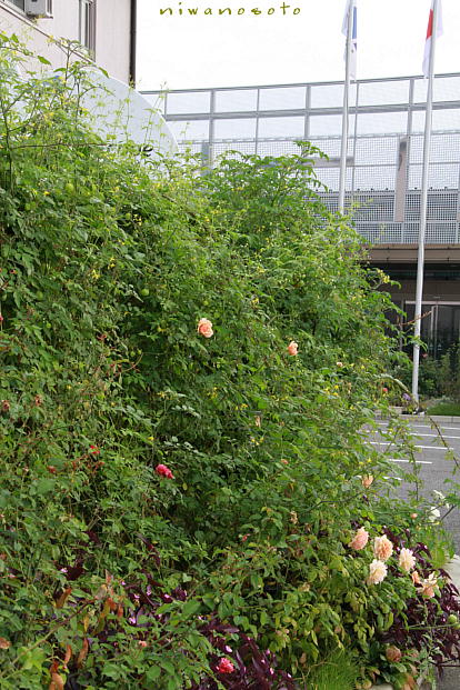d0166303_23504871.jpg